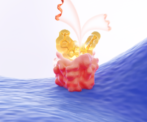 VEOZAH binding to NK3R in MOA video